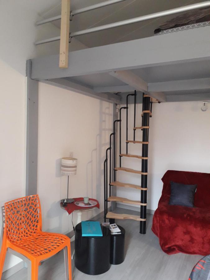 Dormir A Montauban Logements Carreyrat Calme Et Verdoyant Kültér fotó