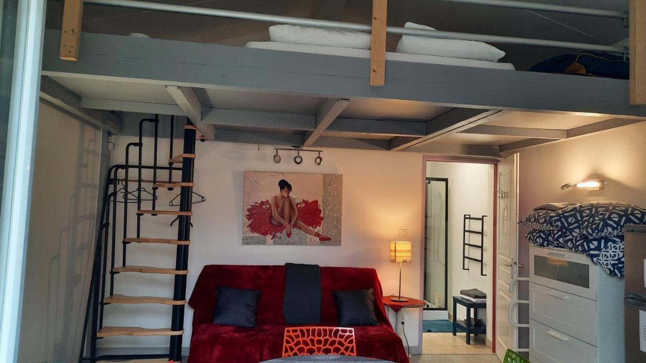 Dormir A Montauban Logements Carreyrat Calme Et Verdoyant Kültér fotó